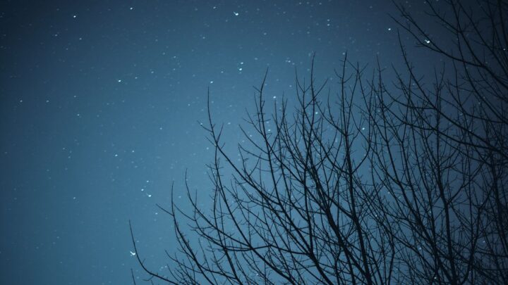 Imagem editorial para o artigo de numerologia do nome Antonella